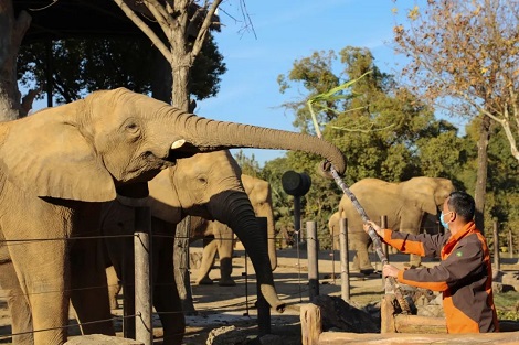 Animal Park3.jpg