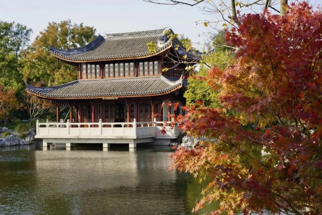 未命名_副本.jpg