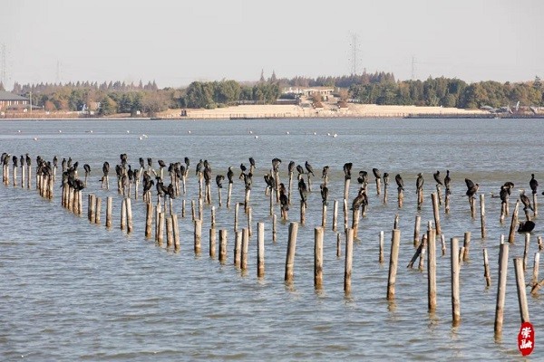 西沙湖3.jpg