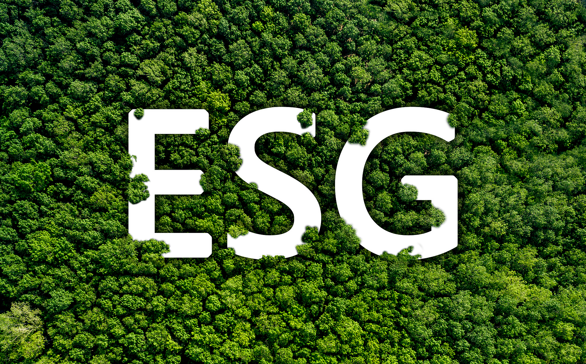 Опубликован «Отчет о развитии ESG в Шанхае за 2024 год»