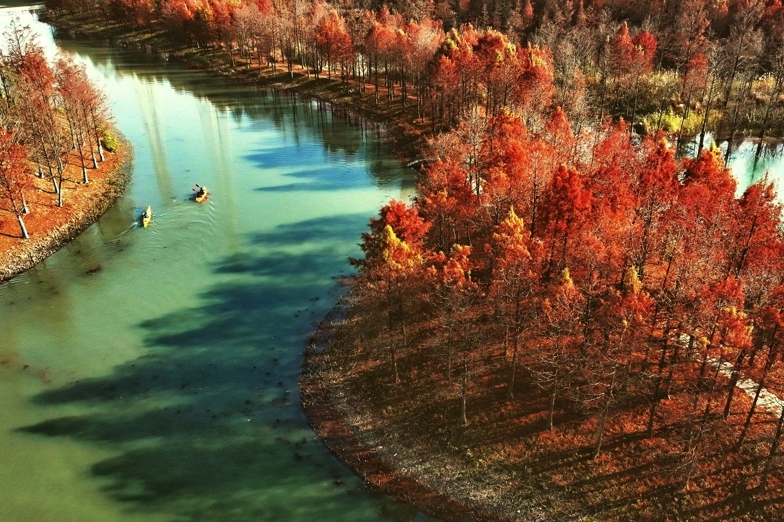 Опубликованы итоги экологического развития Шанхая за период 14-й пятилетки