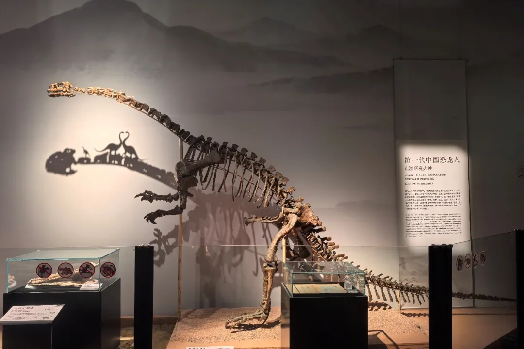 Чуньцзе в год Лошади: выставки в крупнейших музеях Шанхая