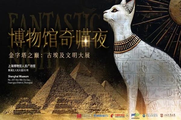 В Шанхайском музее пройдет акция «Чудесная ночь кошек в музее»
