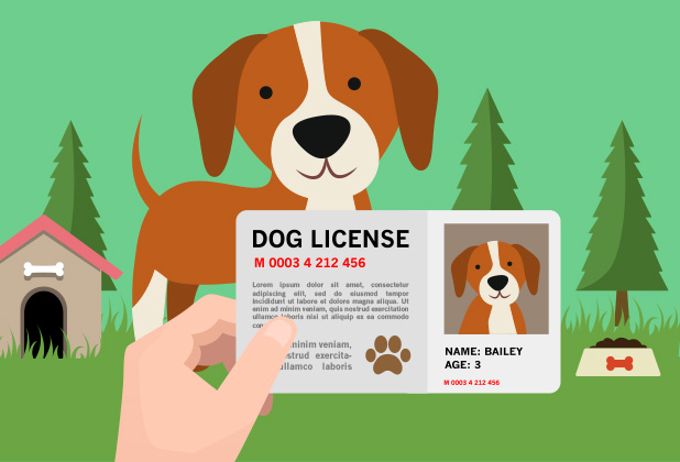 Как получить лицензию на собаку
